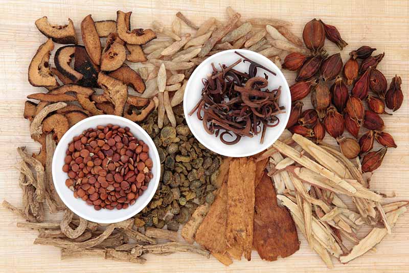 Các bài thuốc đông y chữa viêm da cơ địa được đánh gia an toàn và cho hiệu quả toàn diện hơn các phương pháp điều trị khác