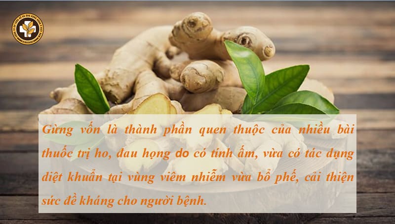 Chữa viêm họng tại nhà bằng gừng