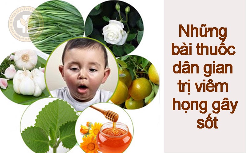 Những bài thuốc dân gian trị viêm họng gây sốt được tin dùng