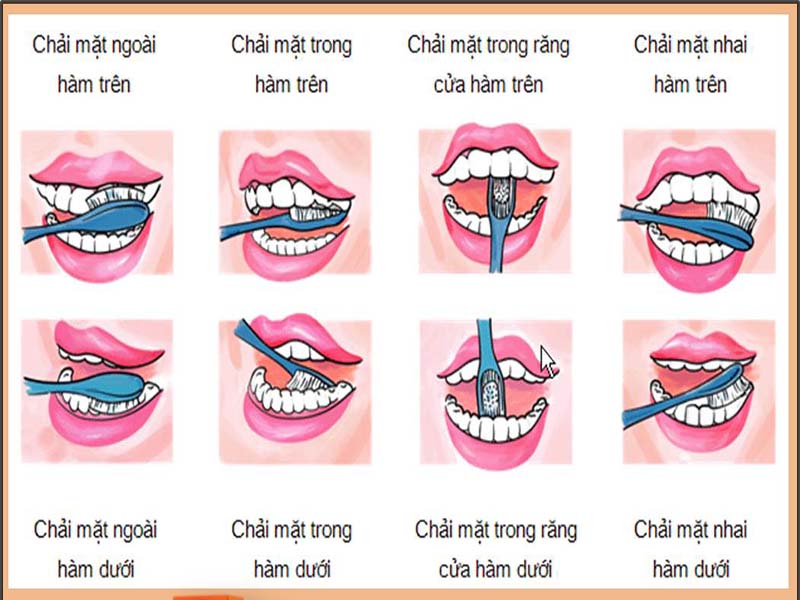 Cách vệ sinh răng miệng đúng