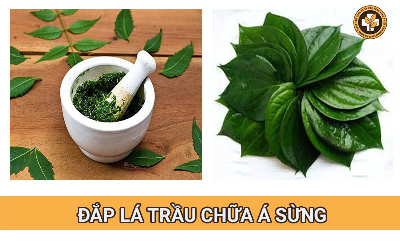 Đắp lá trầu không lên vùng da cần điều trị để chữa bệnh á sừng