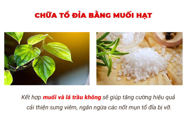 Trầu không kết hợp muối tăng cường hiệu quả chữa bệnh