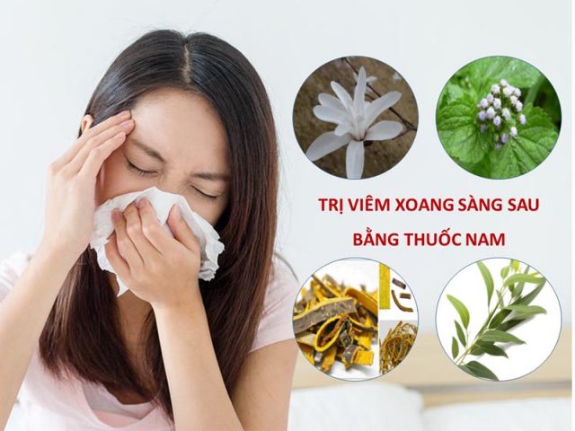 Trị viêm xoang sàng sau bằng thuốc nam