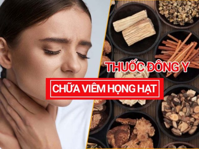 Chữa viêm họng hạt bằng thuốc Đông y