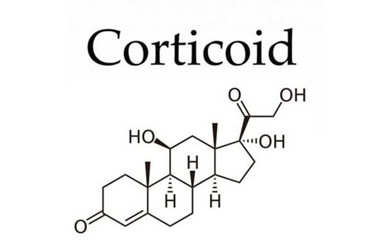 Cấu trúc hóa học của các corticoid chống viêm