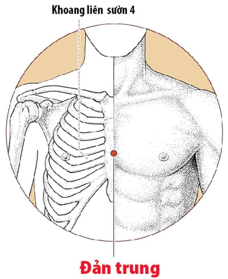 Chữa viêm họng bằng cách bấm huyệt Đản trung