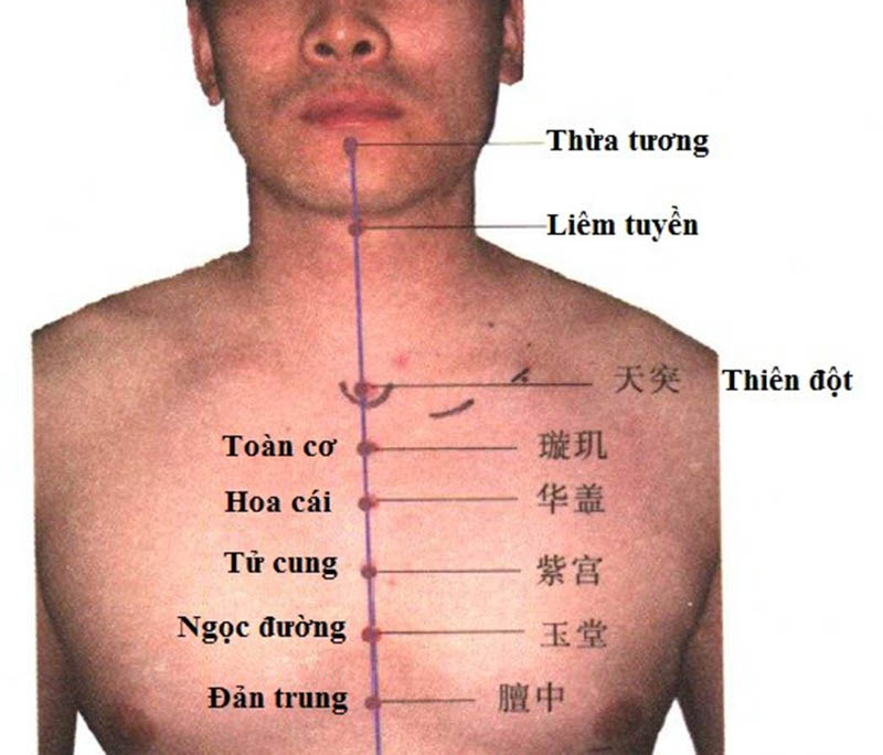 Bấm huyệt Liêm tuyền chữa viêm họng