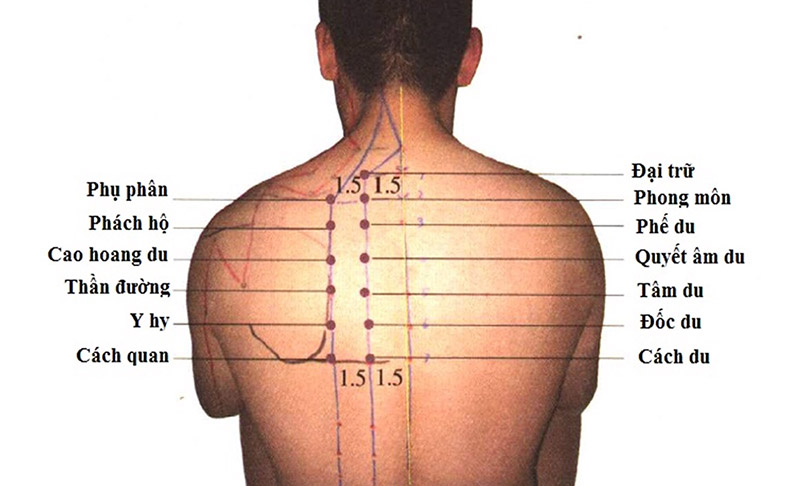 Chữa viêm họng bằng cách bấm huyệt phế du