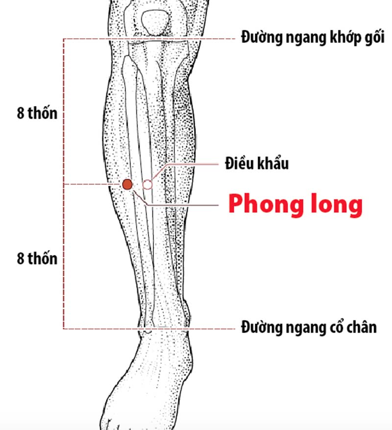 Chữa viêm họng bằng cách bấm huyệt phong long