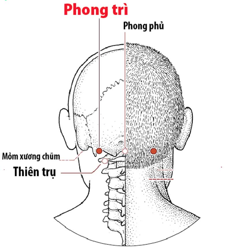 Chữa viêm họng bằng cách bấm huyệt phong bì 