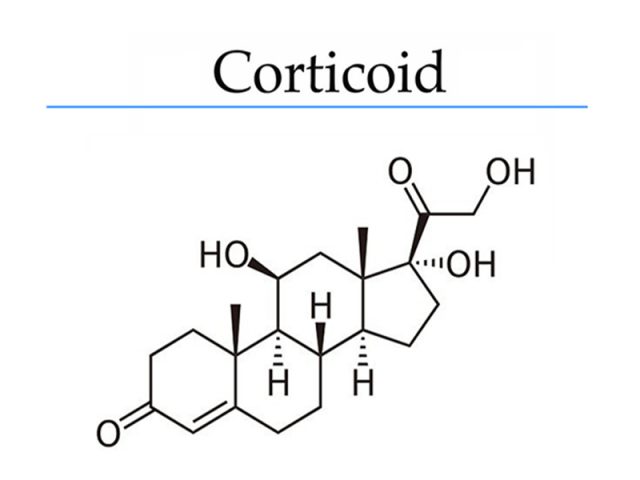 Cấu trúc hóa học của nhân Steroid