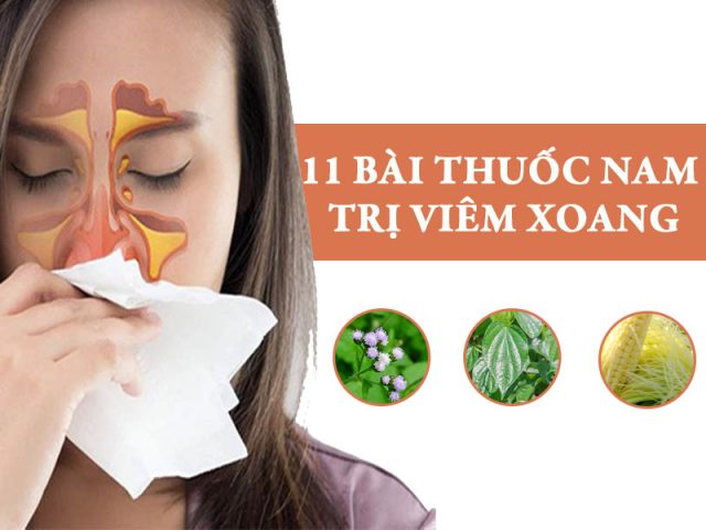 Các bài thuốc nam trị viêm xoang hiệu quả