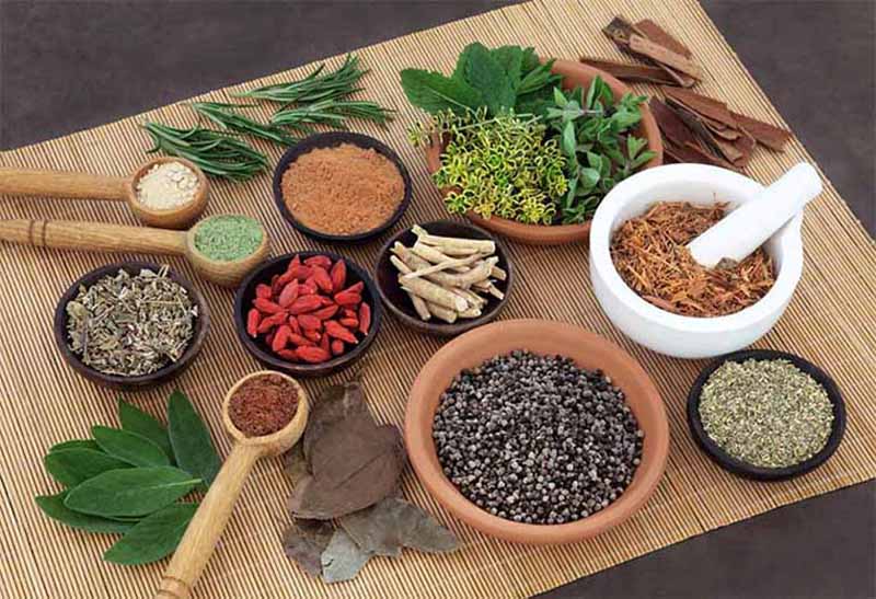 Chữa mề đay mãn tính bằng đông y