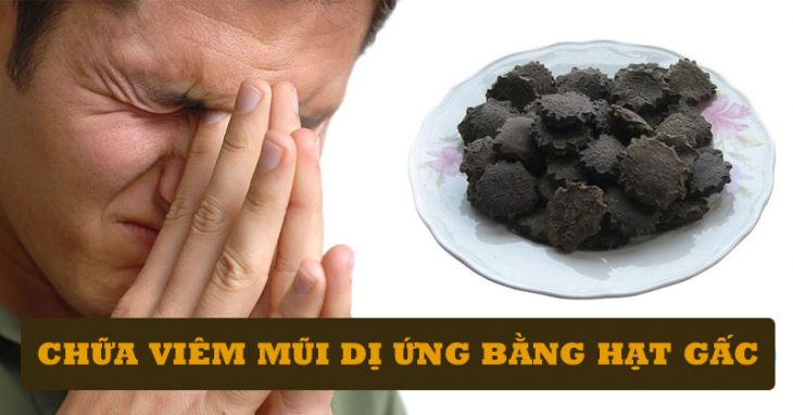 Chữa viêm mũi dị ứng bằng hạt gấc