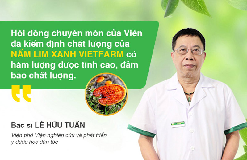 Nấm lim xanh Vietfarm được kiểm định chặt chẽ, đảm bảo chất lượng tốt nhất