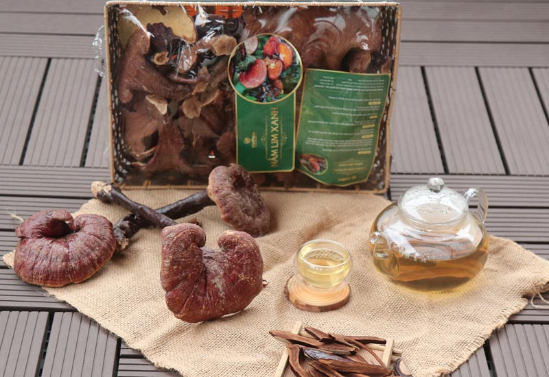Sản phẩm nấm lim xanh Vietfarm cao cấp, thượng hạng