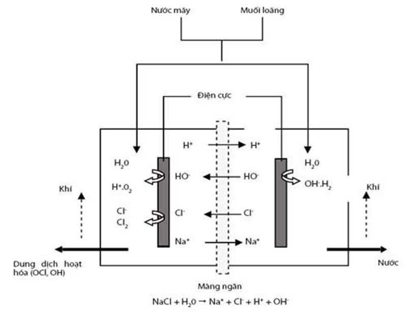 Quy trình điện phân tạo thành dung dịch Anolyte