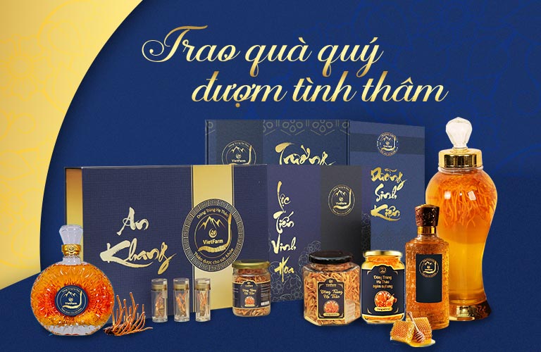 Set quà tặng Đông trùng hạ thảo Vietfarm