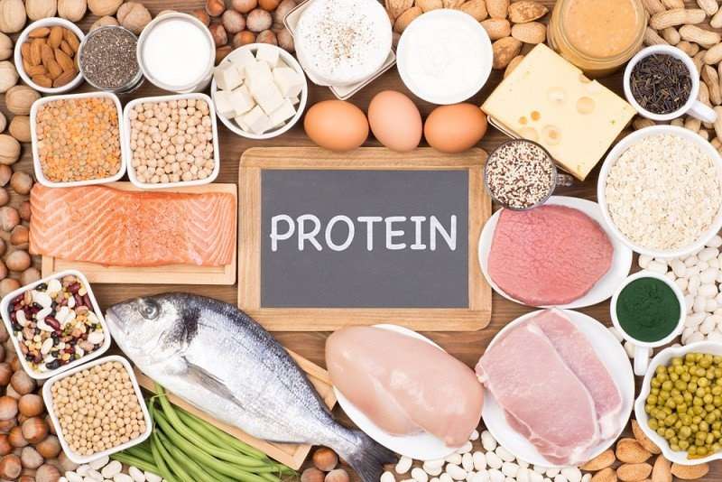 Protein tham gia trực tiếp vào sự phát triển thể chất của thai nhi và làm lành viêm loét trên niêm mạc dạ dày