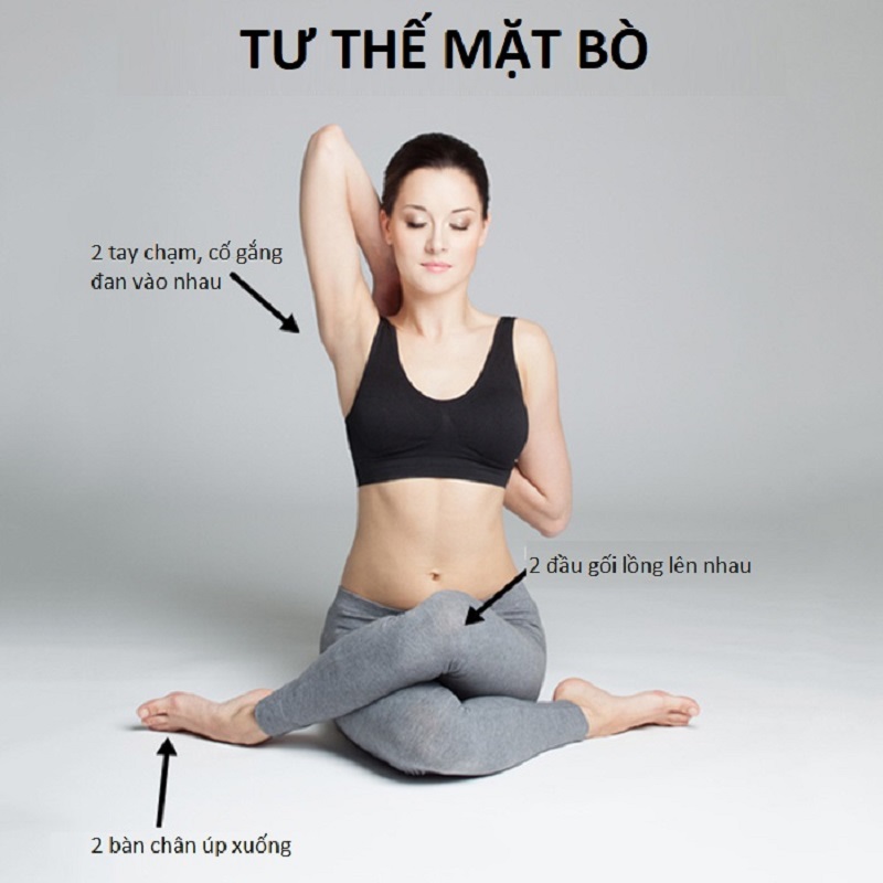 Bài tập yoga chữa đau khớp vai tư thế mặt bò