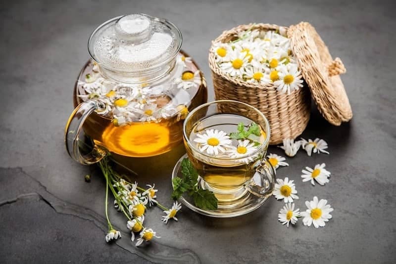 Trà cúc La Mã có công dụng chữa đau dạ dày