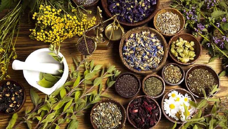 Chữa đau bao tử bằng các bài thuốc Đông Y