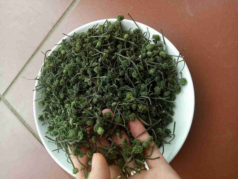 Dược liệu hoa tam thất tại Vietfarm đảm bảo chất lượng