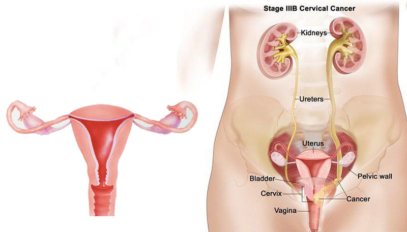 Số lượng và tính chất dịch âm đạo ở nữ giới sẽ thay đổi phụ thuộc vào độ tuổi và sựu phát triển của buồng trứng