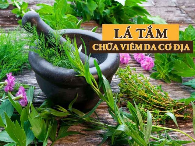 Mách Bạn 11 Loại Lá Tắm Chữa Viêm Da Cơ Địa Dễ Kiếm Và Hiệu Quả