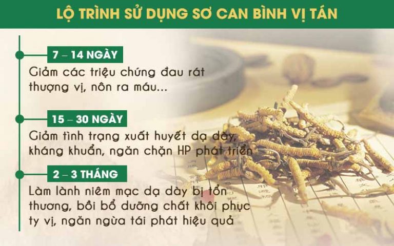 Lộ trình sử dụng Sơ can Bình vị tán 