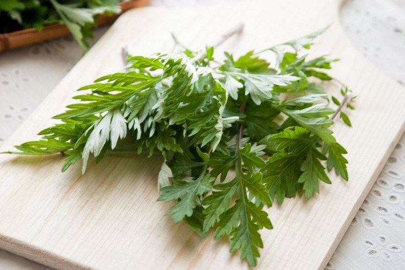 Ngải cứu làm giảm nhanh các triệu chứng bệnh viêm da cơ địa