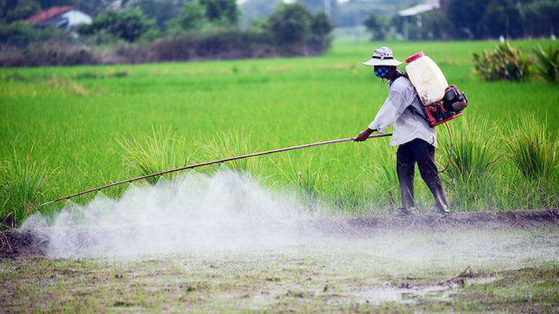 Tránh xa các dung môi, hóa chất độc hại gây vô sinh ở nam giới