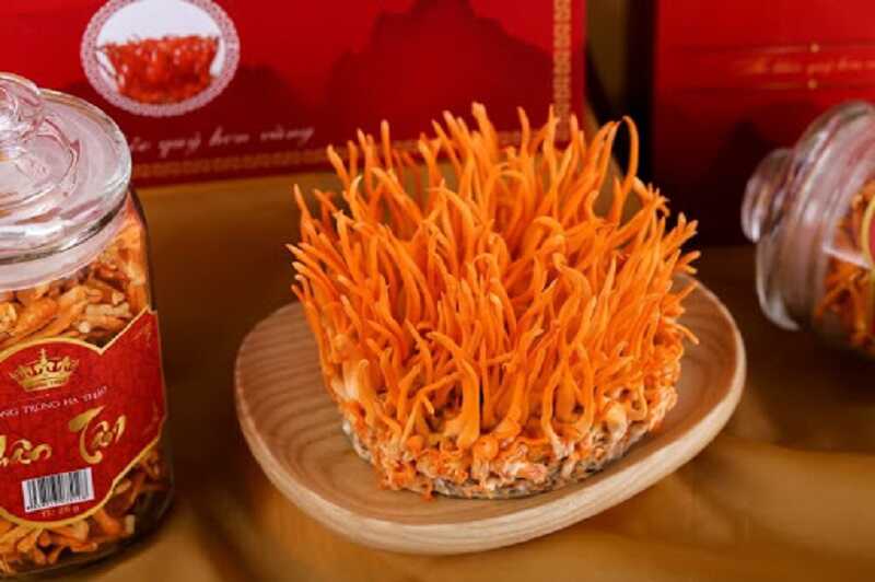 Đông trùng hạ thảo tươi có chứa hàm lượng dinh dưỡng khổng lồ cho sức khỏe