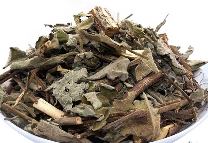 Sử dụng dược liệu hỗ trợ điều trị bệnh viêm đại tràng