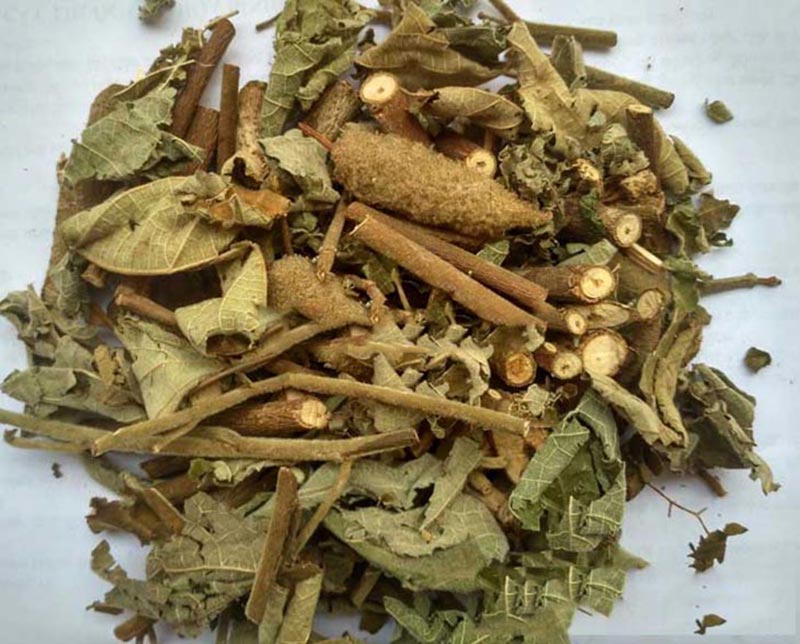 Dược liệu được phơi hoặc sấy khô để dùng dần