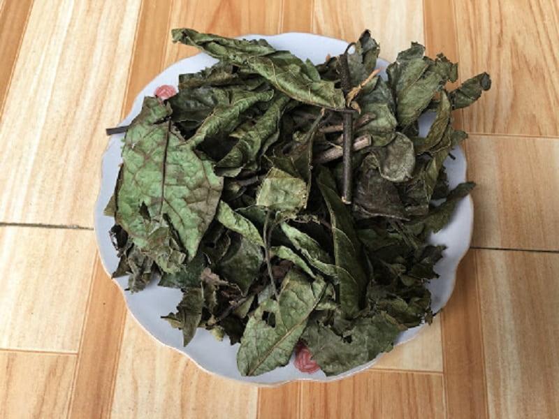Sử dụng dược liệu đúng cách sẽ mang lại hiệu quả