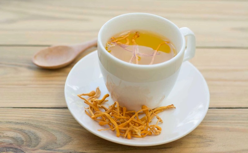 Trà trùng thảo khô là cách sử dụng đơn giản giúp nâng cao sức khỏe cho cơ thể