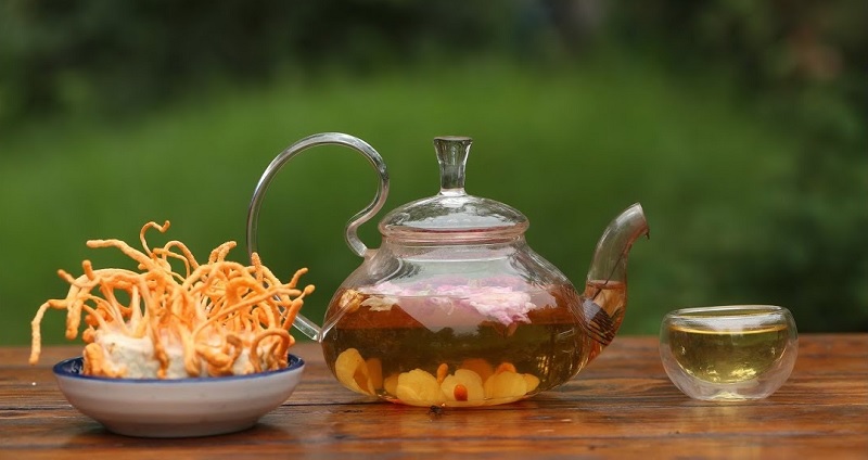 Uống trà đông trùng hạ thảo mỗi ngày để nâng cao đề kháng
