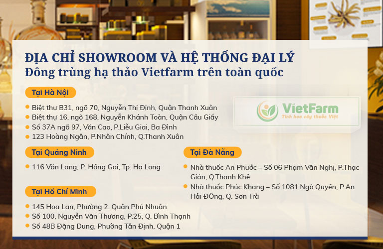 Hệ thống đại lý đông trùng hạ thảo Vietfarm