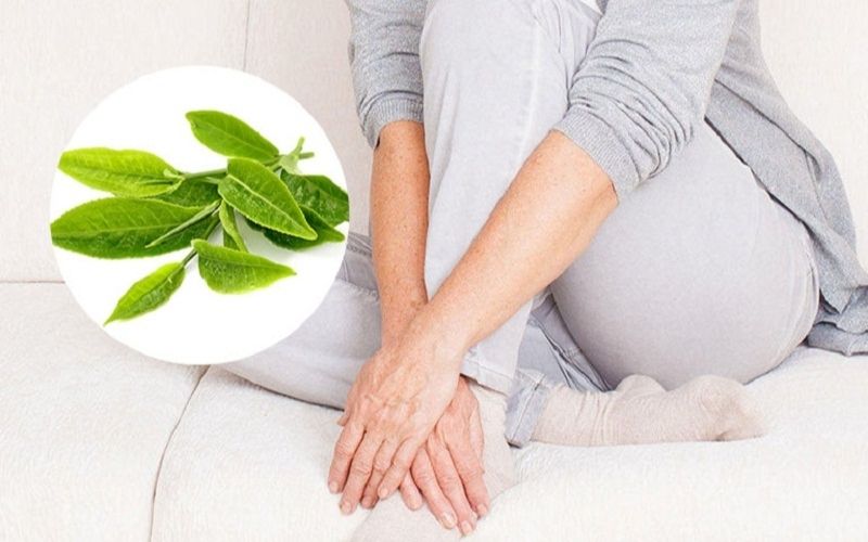 Lá chè xanh có chữa được viêm âm đạo không là câu hỏi khiến nhiều chị em quan tâm