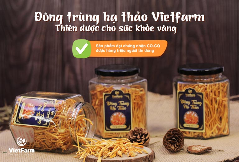 Đông trùng hạ thảo Vietfarm - Thiên dược vàng cho sức khỏe