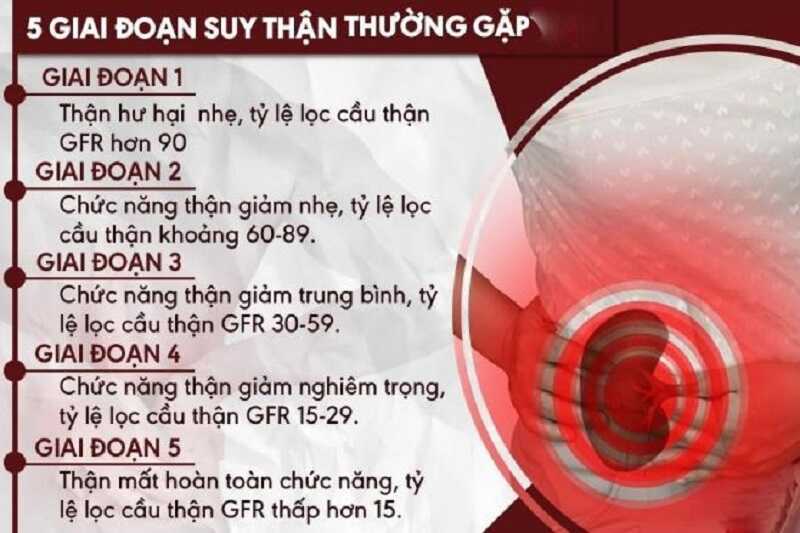 Suy thận trải qua 5 giai đoạn chính với mức độ nguy hiểm tăng dần