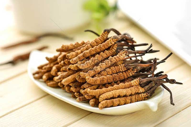 Lưu ý khi sử dụng đông trùng hạ thảo để đạt được hiệu quả cao nhất