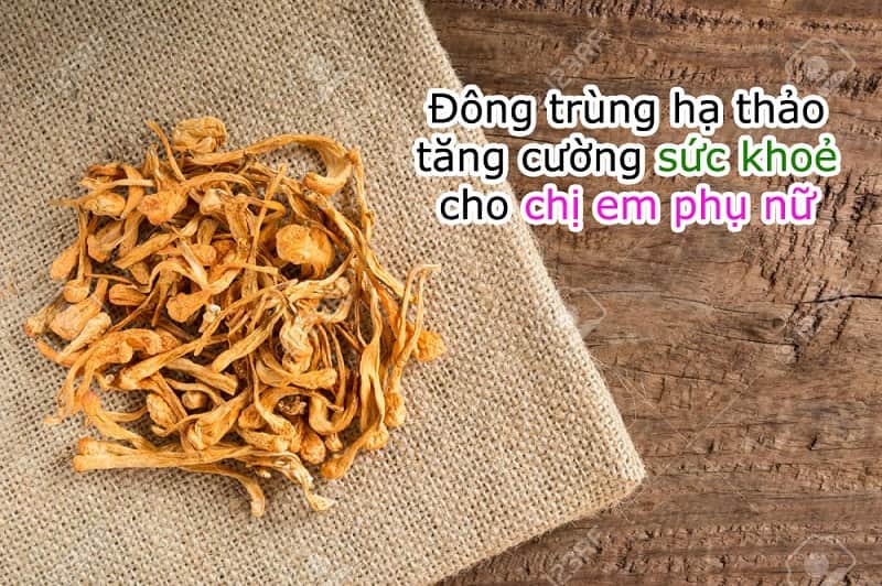 Dược liệu là bí quyết giúp tăng cường sức khỏe cho phái đẹp