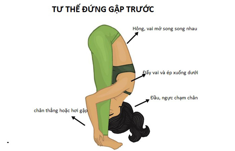 Tư thế Yoga trị viêm xoang đứng gập người (Uttanasana)