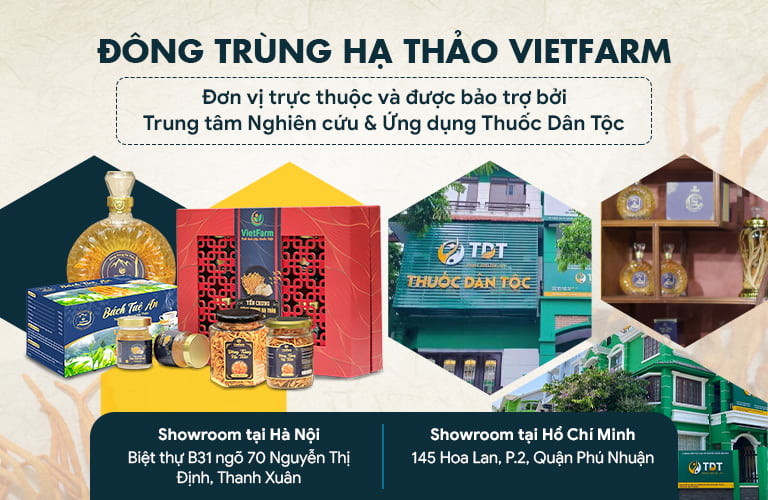 Đông trùng hạ thảo Vietfarm trực thuộc Trung tâm Thuốc Dân Tộc