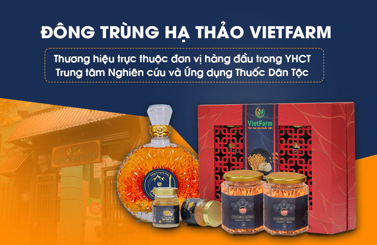 Đông trùng hạ thảo Vietfarm được nghiên cứu phát triển bởi đơn vị đầu ngành YHCT