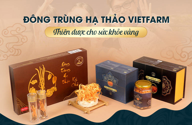 Bộ sản phẩm của Đông trùng hạ thảo Vietfarm đang cung cấp ra thị trường