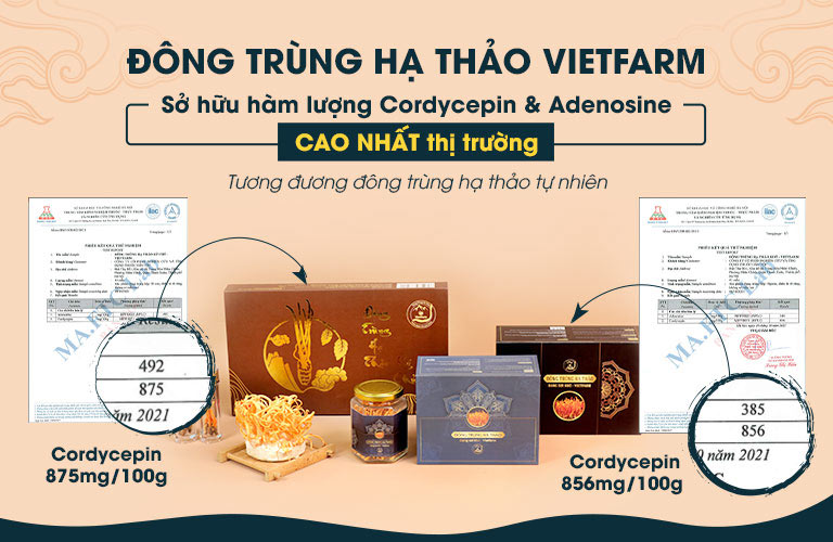 Đông trùng hạ thảo Vietfarm được kiểm định bởi cơ quan có thẩm quyền