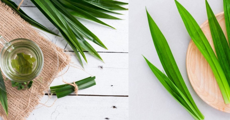 Nên kiên trì sử dụng dược liệu trong thời gian nhất định